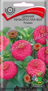 Цинния Фея Розовая низкорослая  купить