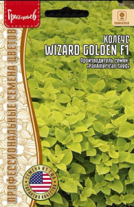 Колеус Визард Golden F1  купить