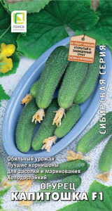 Огурец Капитошка F1 купить