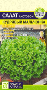 Салат Кудрявый Мальчонка  купить