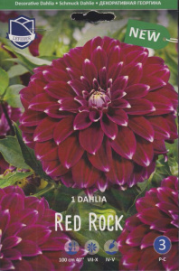 Георгина декоративная Red Rock /1шт  купить