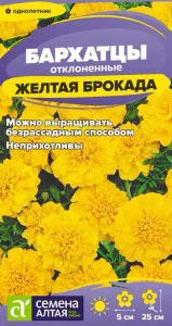 Бархатцы Брокада Желтая махровые купить