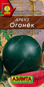 Арбуз Огонек купить