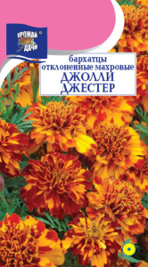 Бархатцы Джолли Джестер откл. махр. купить