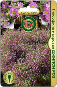 Гипсофила Джипси Роз (махровая)  купить