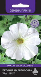 Петуния Ура Вайт купить