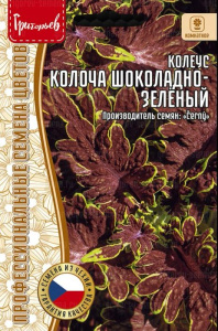 Колеус Колоча F1 Шоколадно-Зелёный (Colocha Chocolate Green) купить