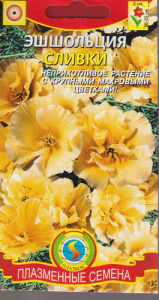 Эшшольция Сливки  купить