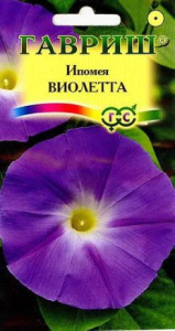 Ипомея Виолетта  купить