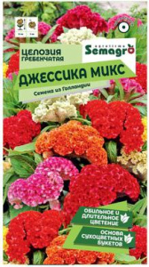Целозия гребенчатая Джессика микс  купить