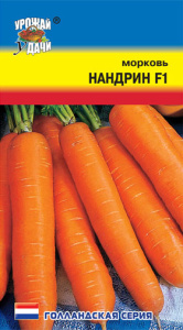 Морковь Нандрин F1 купить