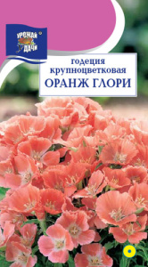Годеция Оранж Глори  купить