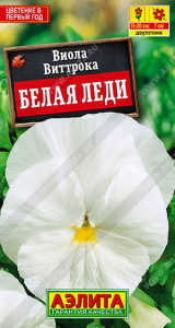 Виола Белая леди  купить