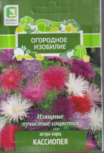 Астра Харц Кассиопея купить