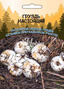 Груздь настоящий (ССПК) купить