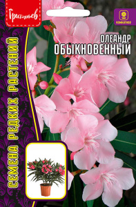 Олеандр Обыкновенный купить