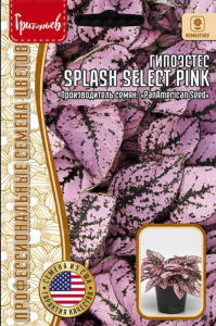 Гипоэстес Сплэш Селект Розовый (Splash Select Pink) купить