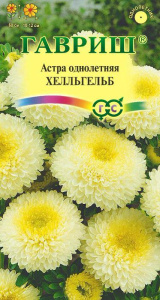 Астра Хелльгельб  (помпонная св-желтая) купить