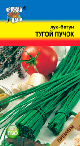 Лук Тугой Пучок, батун купить
