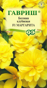 Бегония Маргарита F1, ампельная купить