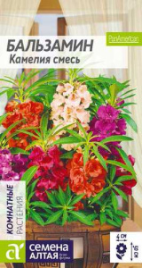 Бальзамин Камелия смесь  купить