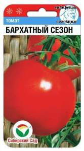 Томат Бархатный сезон 20шт купить