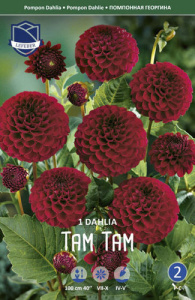 Георгина помпонная Tam Tam /1шт  купить