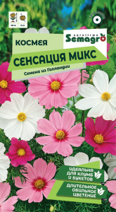 Космея Сенсация микс  купить