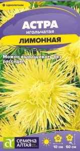 Астра Игольчатая Лимонная купить