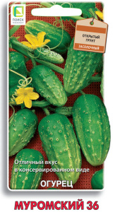 Огурец Муромский 36 купить