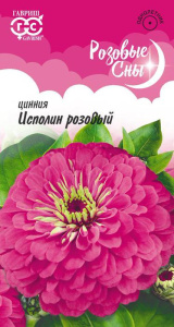 Цинния Исполин розовый  купить