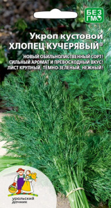 Укроп Хлопец кучерявый - кустовой купить
