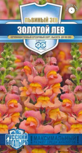 Львиный Зев Золотой лев   купить