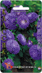 Астра Классик Синий  купить