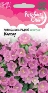 Колокольчик Восход, средний Розовые сны  купить