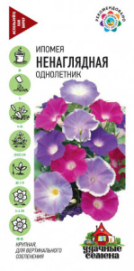 Ипомея пурпурная Ненаглядная, смесь  купить