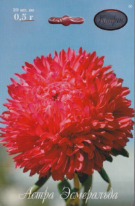 Астра Эсмеральда/1шт купить