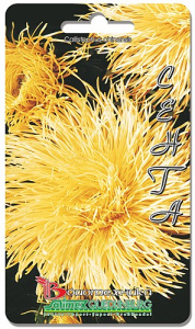 Астра Валькирия Сента  купить