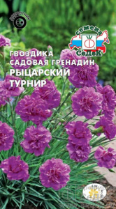 Гвоздика гренадин Рыцарский Турнир  купить