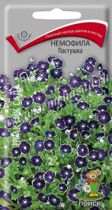 Немофила Пастушка купить
