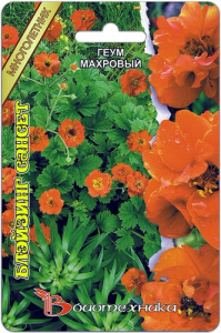 Геум махровый Блэйзинг Сансет  купить