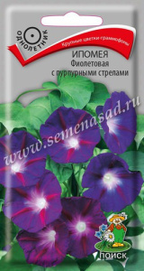 Ипомея Фиолетовая с пурпурными стрелами купить