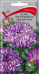 Астра Седая дама синяя пионовидная купить