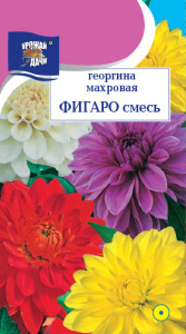 Георгина Фигаро F1 Смесь купить