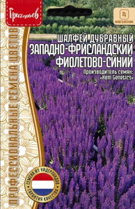 Шалфей Западно-Фрисландский Фиолетово-Синий дубравный   купить