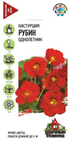 Настурция Рубин  купить