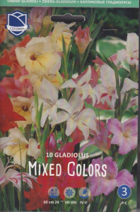 Смесь гладиолусов Dwarf-Gladioli Mixed Colors /10шт купить