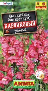 Львиный зев карликовый розовый купить