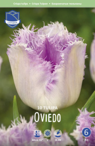 Тюльпан бахромчатый "Oviedo" (1х10шт) купить