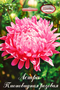 Астра Пионовидная Даная (Розовая)/1шт купить